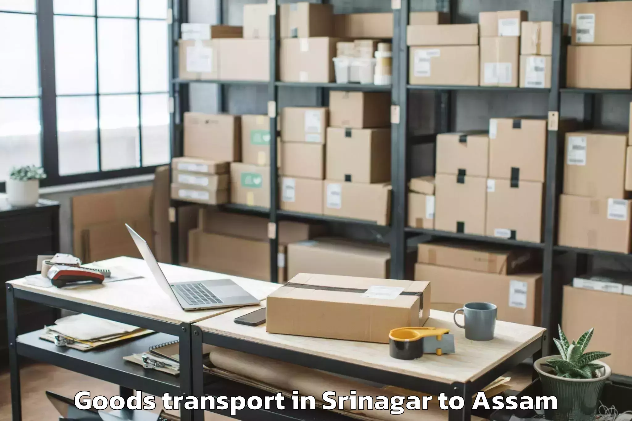 Affordable Srinagar to Kokrajhar Goods Transport